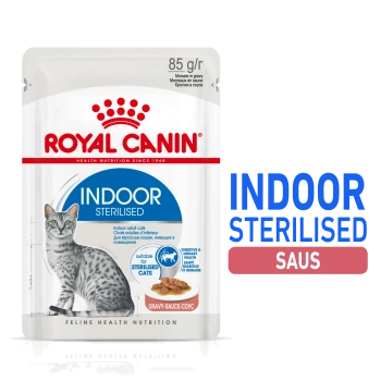 Royal Canin Indoor Sterilised kattenvoer zakje met grijze tabby, gelabeld '85 g/r' en 'Morsels in gravy,' voor gesteriliseerde katten.