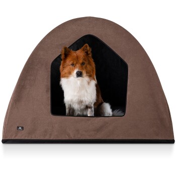 Ein flauschiger braun-weißer Hund sitzt in einem gemütlichen, braunen Haustierzelt mit schwarzem Innenraum und schaut direkt in die Kamera.