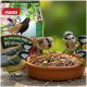 Wildvögel, die Samen aus einer Schale fressen, mit einer PANTO Wildvogel-Futtermitteltüte im Hintergrund.
