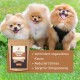 Zwei lächelnde Pomeranians sitzen auf Gras neben "WILDFANG Leberknochen für Hunde," was Entspannung fördert und Stress reduziert.