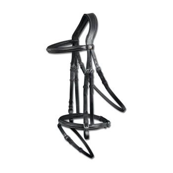 Schwarzes Leder-Haustiergeschirr mit verstellbaren Riemen und silbernen Schnallen, vor einem weißen Hintergrund präsentiert.