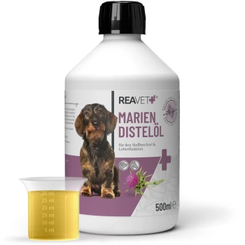 Flasche mit REAVET Marien Distelöl für den Stoffwechsel und die Leberfunktion, mit einem Hund auf dem Etikett und einem Messbecher mit Öl.