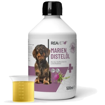 Flasche mit REAVET Marien Distelöl für den Stoffwechsel und die Leberfunktion, mit einem Hund auf dem Etikett und einem Messbecher mit Öl.