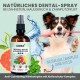 Natürlicher Zahnspray für Hunde in einer beschrifteten Flasche, mit einem Hund, der eine Zahnbürste hält, und Wasserspritzern. Der Text hebt die natürliche Pflege hervor.