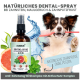 Natürlicher Zahnspray für Hunde in einer beschrifteten Flasche, mit einem Hund, der eine Zahnbürste hält, und Wasserspritzern. Der Text hebt die natürliche Pflege hervor.