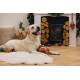 Yellow Labrador retriever lying on a white rug with a Christmas-themed plush toy in front of a fireplace with stacked firewood.