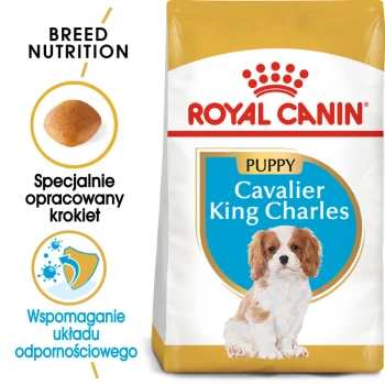 Karma dla szczeniąt Royal Canin dla Cavalier King Charles, z obrazkiem szczeniaka i polskim tekstem o żywieniu dostosowanym do rasy oraz wsparciu odporności.