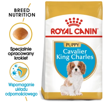 Karma dla szczeniąt Royal Canin dla Cavalier King Charles, z obrazkiem szczeniaka i polskim tekstem o żywieniu dostosowanym do rasy oraz wsparciu odporności.