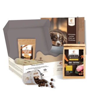 Wildfang Hundefutter- und Leckerli-Box mit Snacks, Trockenfutterbecher, knochenförmigem Spielzeug und Verpackung mit Hundeabbildung.