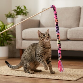 Getigerte Katze, die mit der Pfote an einem bunten, flauschigen Stab-Spielzeug auf einem Teppich in einem Wohnzimmer mit Sofa und Zimmerpflanzen spielt.