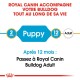 Guide alimentaire Royal Canin pour Bulldogs, montrant les étapes d'âge : 2 mois (Chiot) à 12 mois (Adulte), avec une note de transition en français.