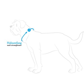 Illustration eines Hundes mit einer Maßlinie, die 'Halsumfang' anzeigt, und einem Pfeil, der auf den Halsbereich zeigt.