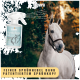 Ein weißes Pferd steht neben einer Sprühflasche mit der Aufschrift "Envira Wundpflege Gel" mit "feiner Sprühnebel dank patentiertem Sprühkopf."