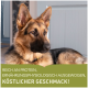 Eine Nahaufnahme eines Deutschen Schäferhundes, der drinnen ruht, mit einem Textüberlagerung auf Deutsch, der sagt: "Reich an Protein, ernährungsphysiologisch ausgewogen, köstlicher Geschmack!"