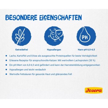 Ein braunes Haustierfutterkibble in Form eines Dreiecks steht neben drei gestapelten rechteckigen Kibbles auf einem weißen Hintergrund.