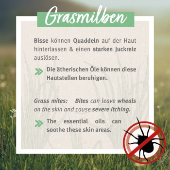 Anti-Grasmilben (Anti-acariens des Graminées) Spray Naturel pour Chiens