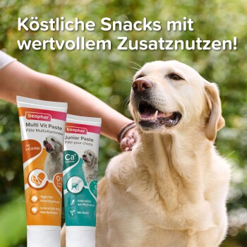 Beaphar Multi-Vitaminpaste für Hunde FRESSNAPF