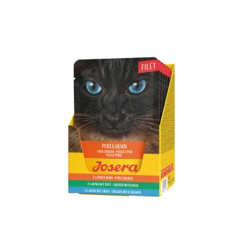 Nahaufnahme einer schwarzen Katze mit blauen Augen neben einem Josera Katzenfutter-Multipack mit Hühnchen-, Enten- und Lachs-Geschmack.