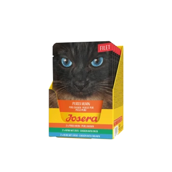 Nahaufnahme einer schwarzen Katze mit blauen Augen neben einem Josera Katzenfutter-Multipack mit Hühnchen-, Enten- und Lachs-Geschmack.