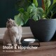 Eine hellgraue Katze sitzt neben einer modernen Futterschüssel auf einem Holzboden, mit einer großen grünen Pflanze dahinter. Text: "Stabil & sicher für stressfreies Essen."