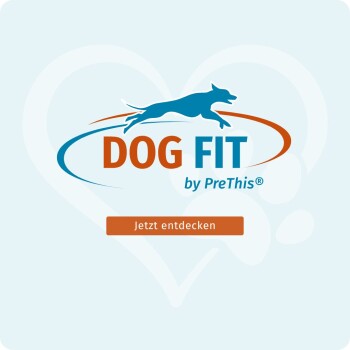 DOG FIT-Logo: blauer springender Hund über orange-blauem Schwung, Text 'DOG FIT by PreThis®' und orangefarbener Button 'Jetzt entdecken'.
