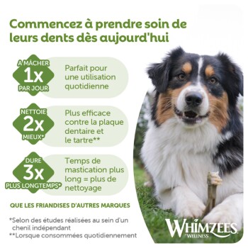 Chien tricolore mâchant une friandise dentaire à côté d'un texte français sur les soins dentaires et le logo Whimzees