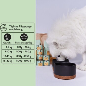 Ein flauschiger weißer Hund schnüffelt an zwei schwarzen Fressnäpfen auf einem Holzständer, mit einem Diagramm auf der linken Seite, das tägliche Fütterungsempfehlungen basierend auf dem Gewicht zeigt.