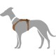 Illustration eines grauen Hundes, der ein braunes Geschirr trägt, das das Design und die Passform des Geschirrs zeigt.