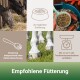 Pferde fressen Heu mit Haustierfutter, Karotten und einer Schaufel. Text: "Zur täglichen Ernährung," "Dosierung entsprechend," "Bis zu 4,2 %." "Empfohlene Fütterung."