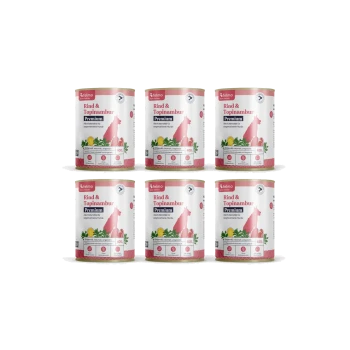 Sechs Dosen Felmo Hundefutter, beschriftet mit 'Rind & Topinambur Premium' 400 g, in zwei Reihen zu je drei angeordnet.