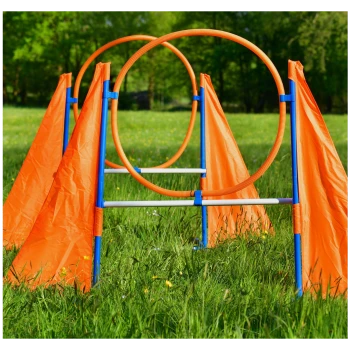 Agilitätstraining-Ausrüstung für Haustiere mit orangefarbenen Reifen und Fahnen, die auf einem grasbewachsenen Feld aufgestellt sind.