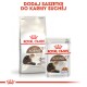 Opakowanie karmy dla kotów Royal Canin Senior Ageing 12+, z torbą suchej karmy i saszetką mokrej karmy, z wizerunkiem kota i szczegółami odżywczymi.