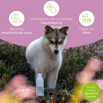 Ein flauschiger Hund steht auf einer grasbewachsenen Fläche neben einer Flasche für Haustierpflegeprodukte, die Vorteile bei Juckreiz und Hautproblemen zeigt.
