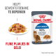 Royal Canin Light Weight kattenvoer verpakking met een bord natvoer, met tekst over gewichtsbeheer en voedingsvoordelen.