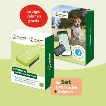 Fressnapf GPS-Tracker für Hunde grün