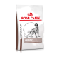 Royal Canin Veterinary Hepatic Hundefutterbeutel mit einer Silhouette eines Hundes, der die Unterstützung der Lebergesundheit betont.