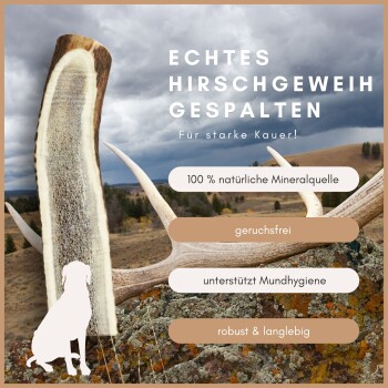 Geteilter echter Hirschgeweih-Hundekauartikel auf felsigem Landschaftshintergrund, geruchlos, natürliche Mineralien, unterstützt die Mundhygiene, langlebig.