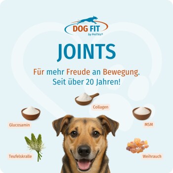 Dog Fit 'JOINTS' Anzeige: Hundekopf, deutscher Text 'Für mehr Freude an Bewegung' und Inhaltsstoffe Glucosamin, Kollagen, MSM.
