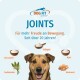 Dog Fit 'JOINTS' Anzeige: Hundekopf, deutscher Text 'Für mehr Freude an Bewegung' und Inhaltsstoffe Glucosamin, Kollagen, MSM.