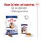 Royal Canin Hundefutterverpackung mit einer großen Tüte, die "maxi" für Hunde ab 8 Jahren beschriftet ist, neben einer kleineren Dose, die gemischte Fütterung fördert.