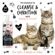 Bugalugs 2-in-1 Katzen-Shampoo + Conditioner mit Papaya und Kokosnuss, neben zwei getigerten Katzen. Etiketten: "CLEANSE & CONDITION," "Vegan," "8 Wochen+"