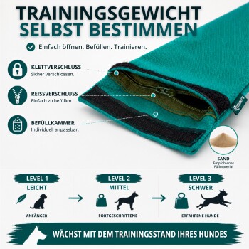 Golden Retriever läuft auf einem grasbewachsenen Weg und trägt ein grünes Stoff-Hundespielzeug im Maul im Freien.