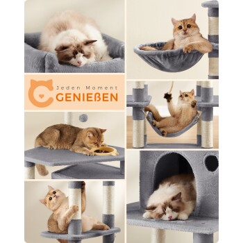 Collage von verspielten Katzen auf einem grauen Katzenbaum, mit einer schlafenden Katze, einer Katze, die frisst, und einer, die mit einem Spielzeug spielt, mit dem Text "Jeden Moment genießen."