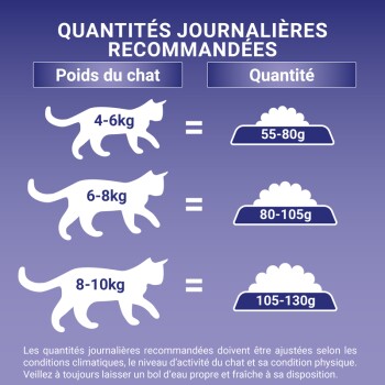 Tableau « Quantités journalières recommandées » — Poids du chat vs Quantité : 4-6 kg = 55-80 g ; 6-8 kg = 80-105 g ; 8-10 kg = 105-130 g
