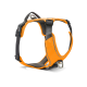 Orange gepolstertes Hundegeschirr mit schwarzen Riemen, verstellbaren Schnallen und Metall-D-Ringen vor weißem Hintergrund.