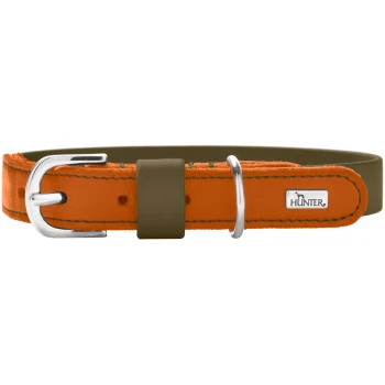 Oranges Lederhalsband für Hunde mit olivfarbenem Innenfutter, silberner Schnalle und D-Ring, kleine Metallplakette mit der Aufschrift HUNTER