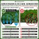 4x EASY-WASH-Ersatzrasen für Hundeklo, Hundetoilette für kleine & große Hunde, 100% Festes Gras, Welpentoilette drinnen Welpenklo zuhause Gras Hundetoiletten Balkon Indoor WC Klo