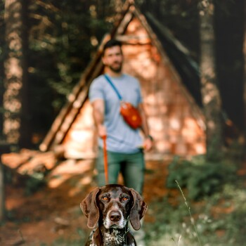 Ein braun-weißer Hund steht im Fokus an einer Leine, mit einer verschwommenen Figur, die die Leine in einem bewaldeten Gebiet in der Nähe einer Hütte hält.