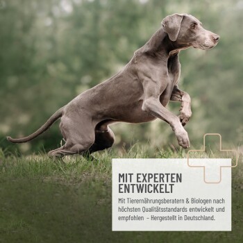 Kieselerde für Hunde, 400g-Packung mit einer Hundesilhouette, mit Text, der die Vorteile für Haut- und Fellgesundheit hervorhebt.