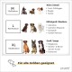 Diagramm, das Hundgrößen und Rassen für einen Online-Tierladen anzeigt, mit Kategorien: Klein (M), Mittel (L) und Groß (XL), einschließlich Rassenbeispielen.